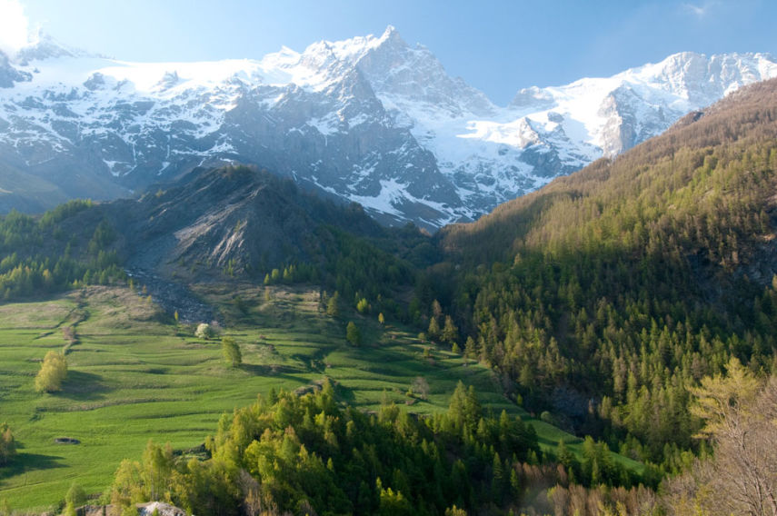 The Alps
