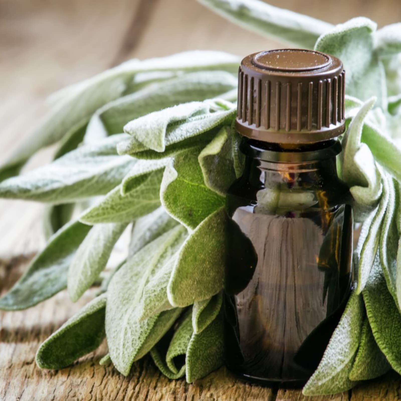 Huile Essentielle de Sauge Aroma 10 ml