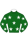 6 - BOUGANVILLEA