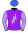4 - Sharky Hotshot (11)