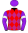15 - Leydi Blahniks (2)