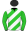 6 - Bold Tropic (2)