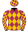 4 - Spectroscope (5)