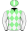 3 - Fat Turtle (11)
