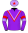 12 - D Star (14)