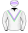 4 - Light Years Charm (10)