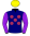 13 - Winning Emotions (6)