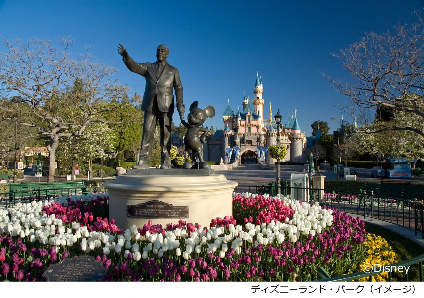 ディズニーランドリゾート（「ディズニーランド・パーク」＆「カリフォルニア・アドベンチャー」）