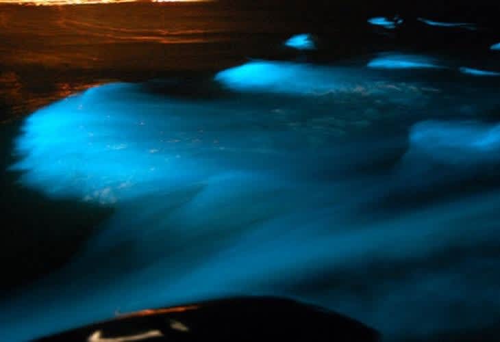 ルミノスラグーン