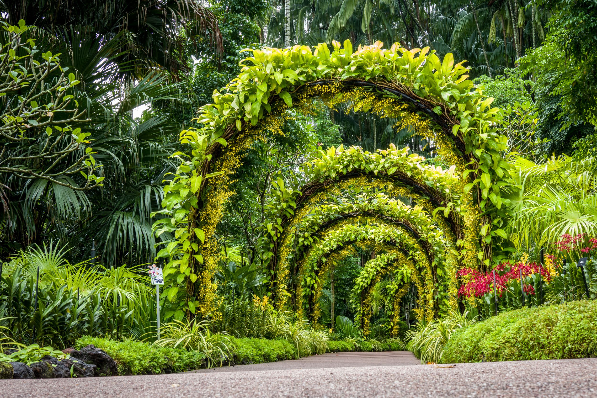 シンガポール植物園