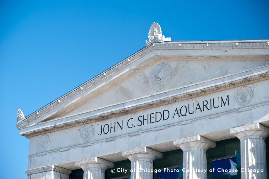 ジョン・G・シェッド水族館