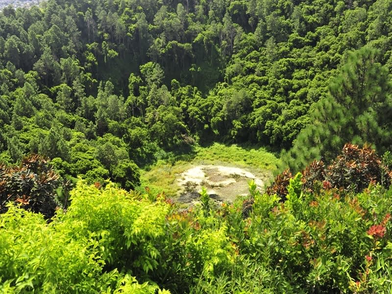 トゥル・オ・セルフ