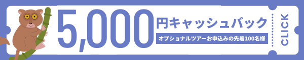 先着100名様限定 5,000円分のキャッシュバックキャンペーン