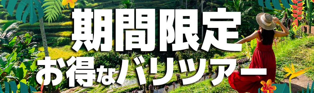 期間限定ツアー