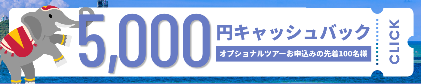 先着100名様限定 5,000円分のキャッシュバックキャンペーン