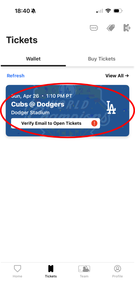 Verify email to open tickets画面