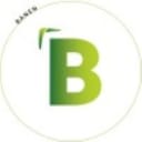Boemerang Banen logo
