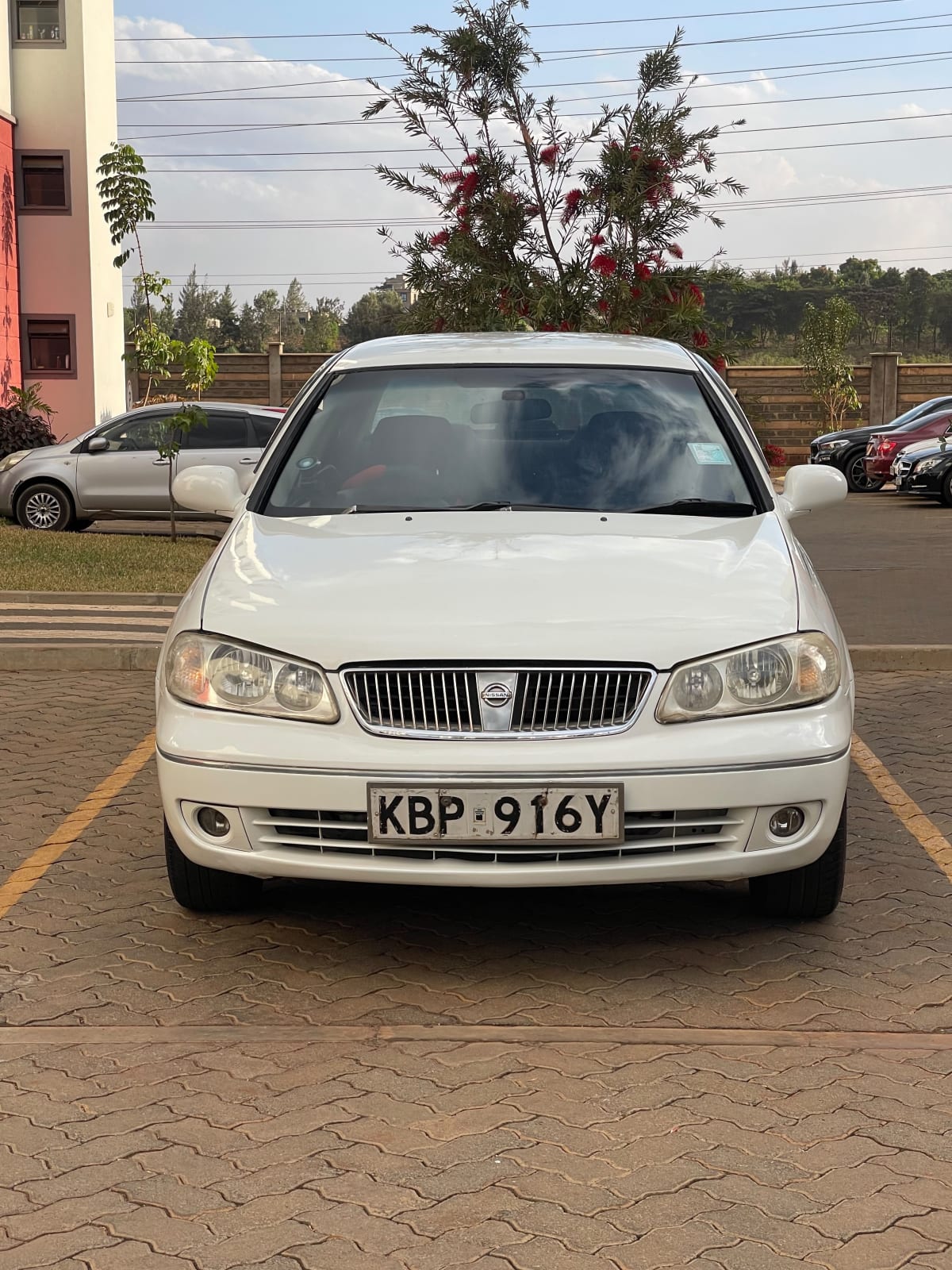 Nissan Bluebird Sylphy