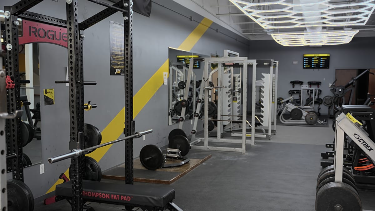Free Weights vs. Machines: Which Builds More Muscle?