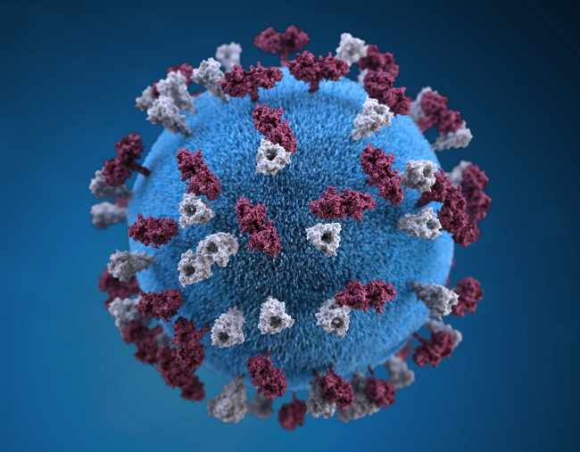 Ilustrasi tiga dimensi virus campak. Sumber: A Eckert, PHIL CDC, 2016.