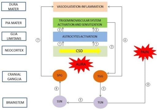 Patofisiologi migrain+aura. Sumber: anonim, Openi, 2014.