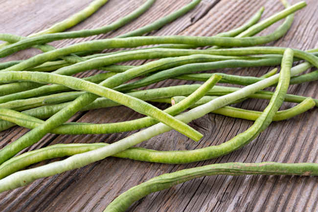 Manfaat Kacang Panjang terhadap Ukuran Payudara dan Kadar Glukosa