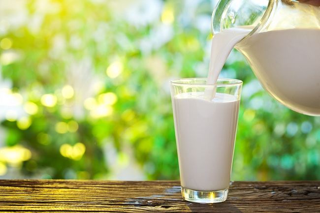 Manfaat Susu Skim yang Rendah Lemak dan Kalori