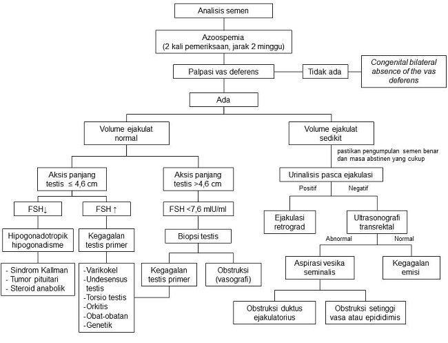 Algoritma azoospermia. Sumber: karya pribadi penulis.