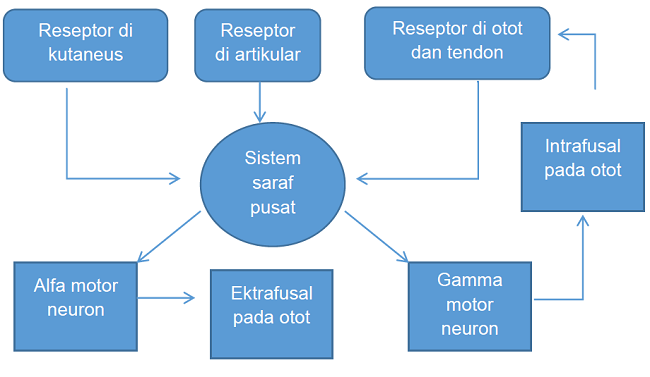 Diagram patofisiologi ankle sprain. Sumber: karya pribadi penulis.