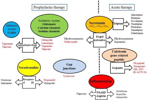 Target obat antimigrain. Sumber: anonim, Openi, 2014.