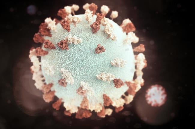 Gambaran 3d Paramyxovirus. Sumber: A Eckert, AM Maiuri, PHIL CDC, 2016.