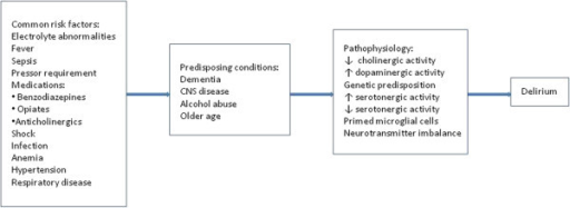 Patofisiologi delirium. Sumber: anonim, Openi, 2012.