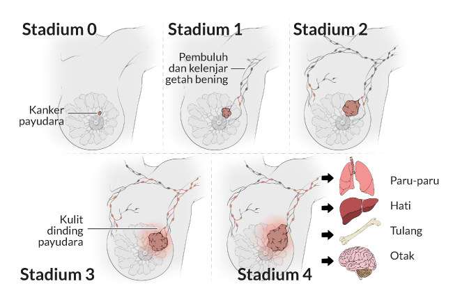 Khasiat Wortel Bagi Kesehatan