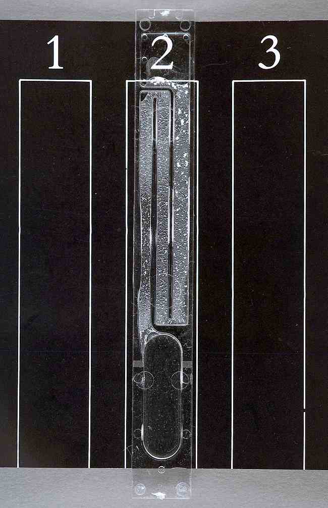 Patofisiologi HIV - Alomedika