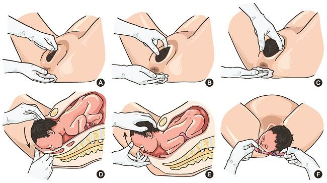  Gambar  Kata Perjuangan Melahirkan  Gambar  Bijak