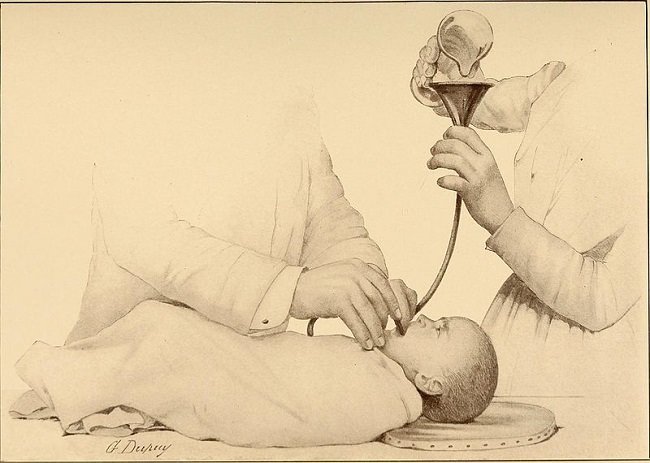 Sumber: Internet Archive Book Images, Wikimedia commons, 1910.