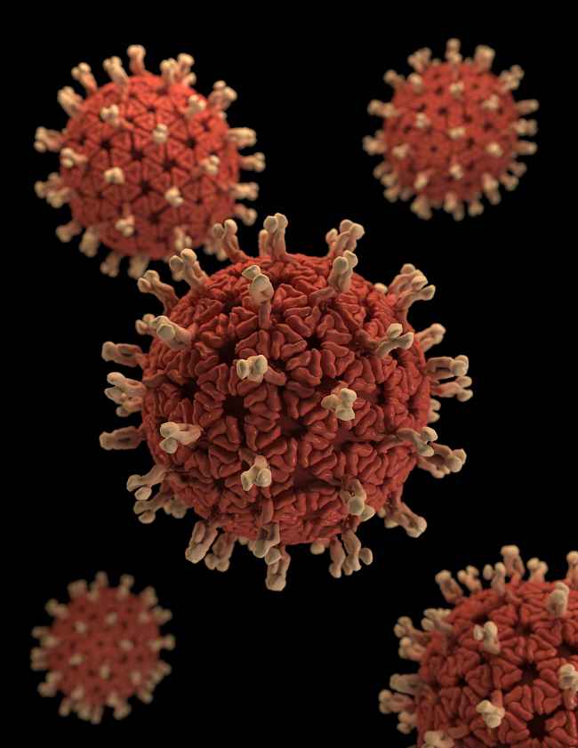 Rotavirus. Sumber: A Eckert, JA Allen, PHIL CDC, 2016.