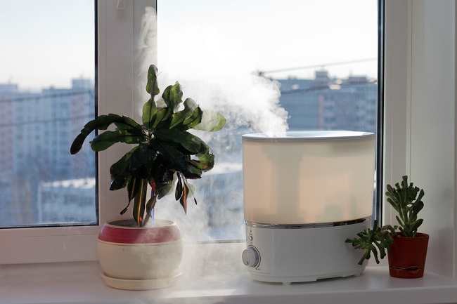 Ketahui Manfaat Humidifier untuk Kesehatan