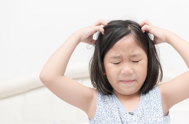 Jangan Panik Ini Cara Mengatasi Kutu Rambut  pada Anak  