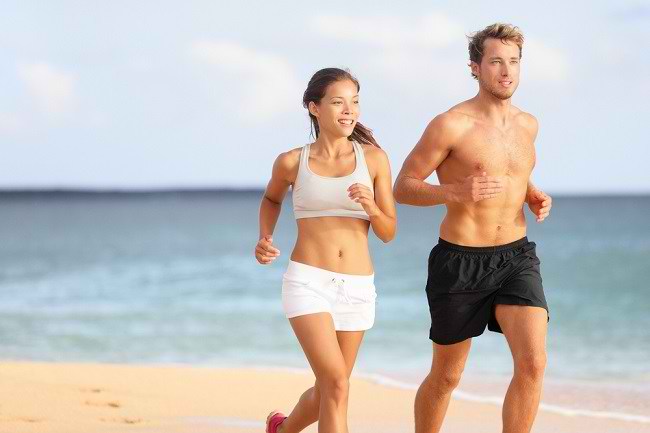 Know the Organ Systems in Humans and Their Functions