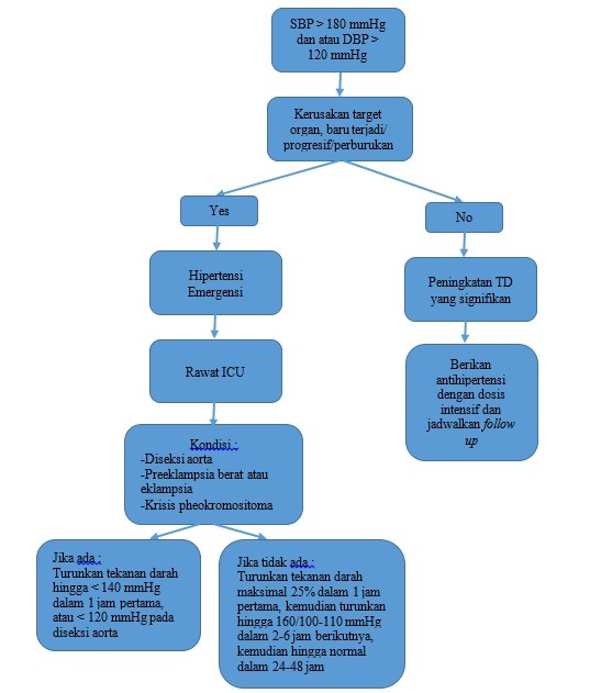 Hipoglikemia Patofisiologi Diagnosis Penatalaksanaan Alomedika My Xxx