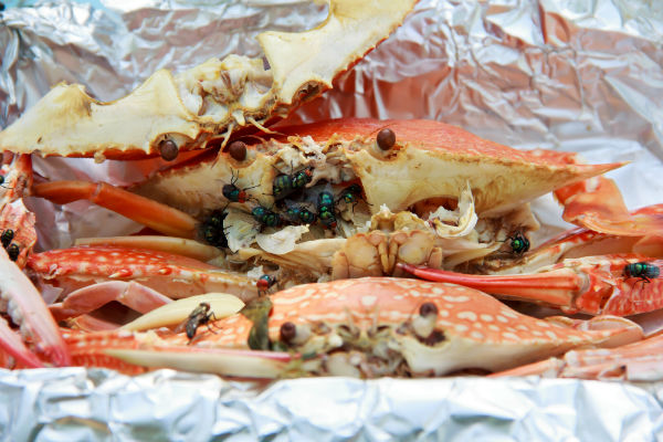 อาหารเป็นพิษ rs