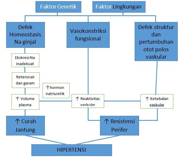 Patofisiologi Hipertensi Alomedika