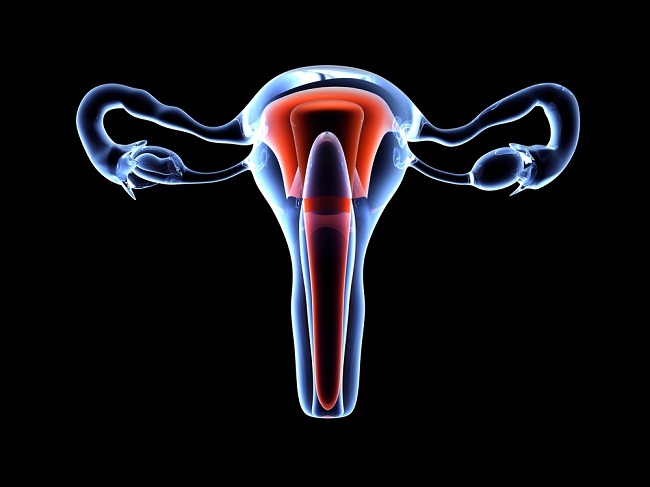 Mengenal Organ Reproduksi Wanita - Alodokter