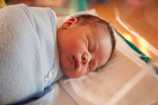  Bayi  Baru  Lahir  Mampu Merasa Membau dan Mengecap 