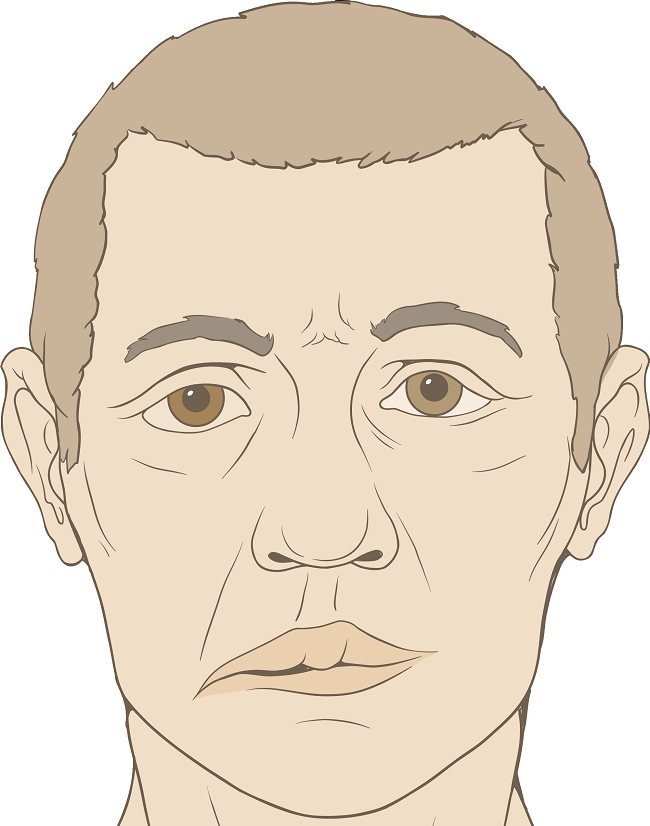 Sumber: PJ Lynch, Wikimedia commons, 2006.