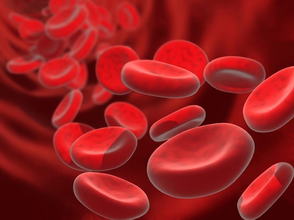 anemia - alodokter
