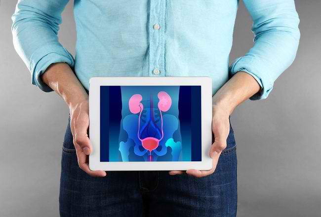 100+ Gambar Sistem Organ Ekskresi Ginjal Terlihat Keren 100+ Gambar Sistem Organ Ekskresi Ginjal Terlihat Keren