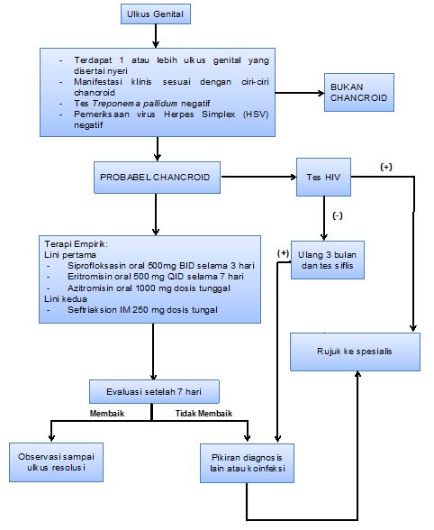 Sifilis Patofisiologi Diagnosis Penatalaksanaan Alomedika Porn Sex