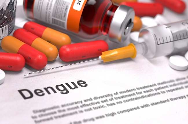 Dengue Fever Vaccine: Need or Not?